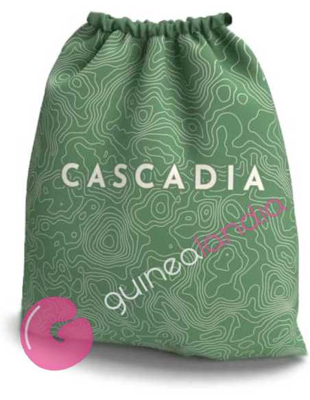Cascadia juego de mesa