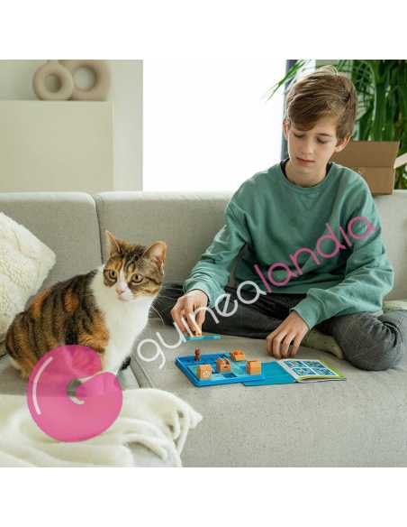 Gatos y Cajas