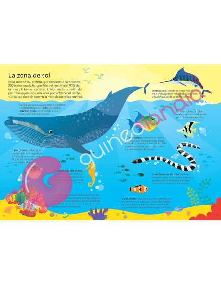 Libro Puzzle En El Océano 300 piezas