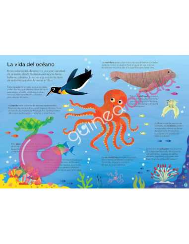 Libro Puzzle En El Océano 300 piezas