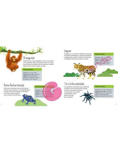 Libro Puzzle Animales Salvajes 49 piezas