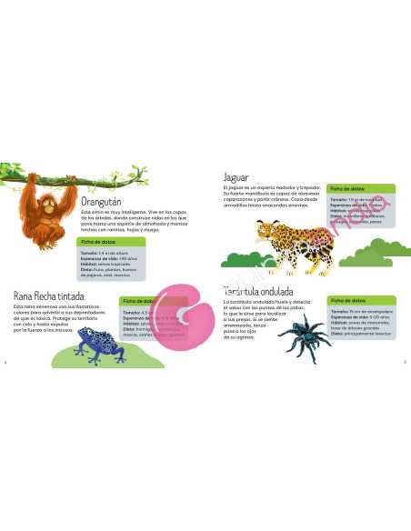 Libro Puzzle Animales Salvajes 49 piezas