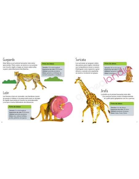 Libro Puzzle Animales Salvajes 49 piezas