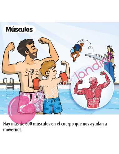 Brainbox Pocket El Cuerpo