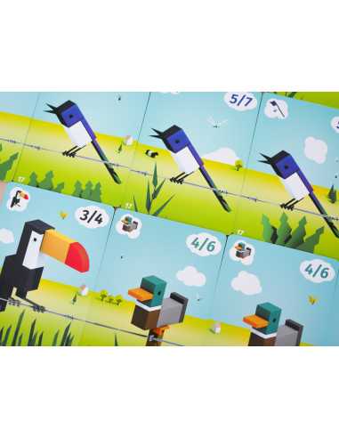 CuBirds