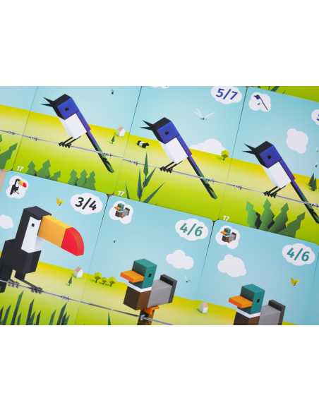CuBirds