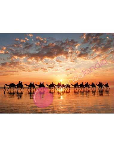 Atardecer Dorado en Cable Beach, Australia Puzzle 1000 piezas