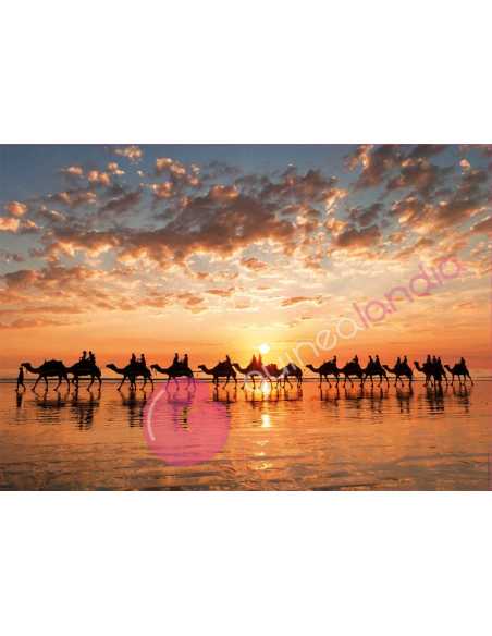 Atardecer Dorado en Cable Beach, Australia Puzzle 1000 piezas