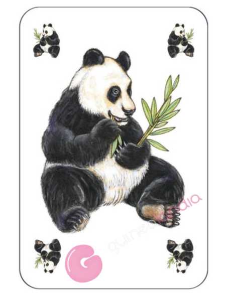 Zanimatch Juegos de cartas Djeco