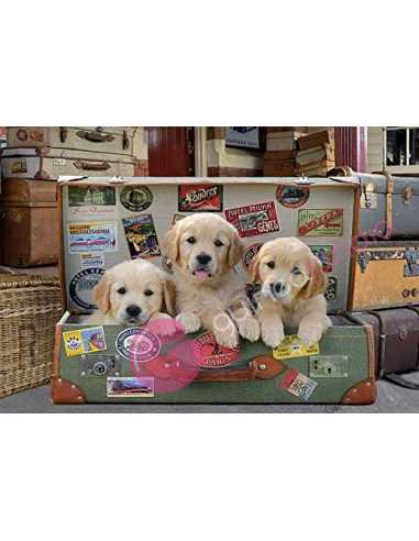 Cachorros en el equipaje Puzzle 500 piezas - Educa