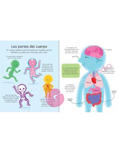 Libro Puzzle El Cuerpo Humano 100 pzs
