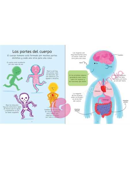 Libro Puzzle El Cuerpo Humano 100 pzs