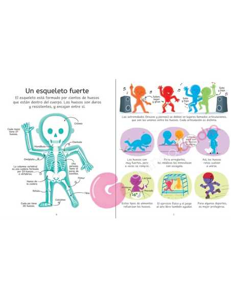 Libro Puzzle El Cuerpo Humano 100 pzs