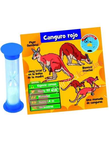 BrainBox Animales