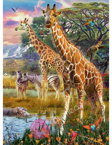 Puzzle Jirafas en África 150 piezas