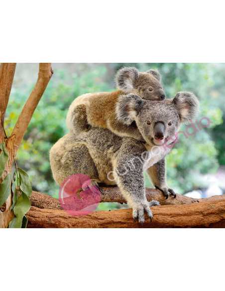 Puzzle Amor de Koala 200 piezas