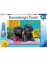 Puzzle Vida de Perros 300 piezas
