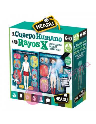 El Cuerpo Humano bajo Rayos X