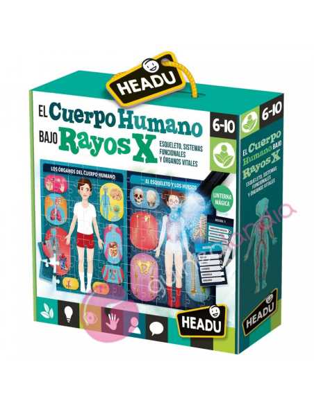 El Cuerpo Humano bajo Rayos X