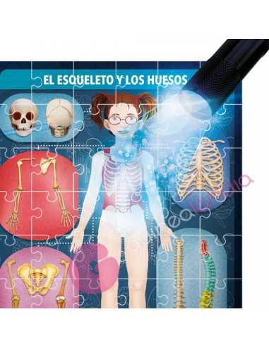 El Cuerpo Humano bajo Rayos X