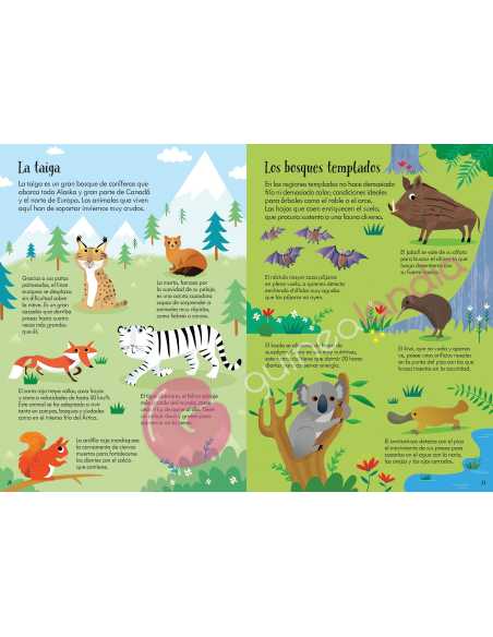 Libro puzzle Animales del mundo 200 piezas